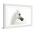 thumbnail image 1 of Marmont Hill 'White Beauty' Framed Painting Print, 1 of 1