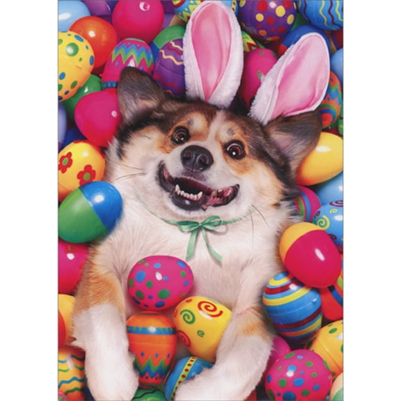 Avanti Press Dog Wearing Bunny Ears Laying in Pool of Plastic Easter Eggs Funny Easter Card