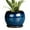 Blue Glazed, variant on Flower Pots 6 inch, Modern Small Round Ceramic Planter with Drainage Hole and Saucer, Gift for Women & Mom, for Orchids & Indoor Plants, Blue Glaze