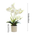 thumbnail image 3 of Artificial Phalaenopsis Orchid Bonsai Potted Plant Silk Flower Arrangement Realistic Home Decor Desktop Office Wedding Centerpiece Maintenance Free Floral Display Indoor Outdoor Decor, 3 of 6