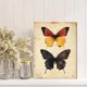 thumbnail image 2 of Qisvanset 12x16 Inch With Frame 2D Flat Wall Art Three Butterfly Minimalist Modern Living Room Wall Art, 2 of 8