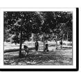 thumbnail image 2 of Historic Framed Print, [Rubber plantations, Java?, 1914]: collecting latex & cupwashing, Sikassim Estate, 17-7/8" x 21-7/8", 2 of 9