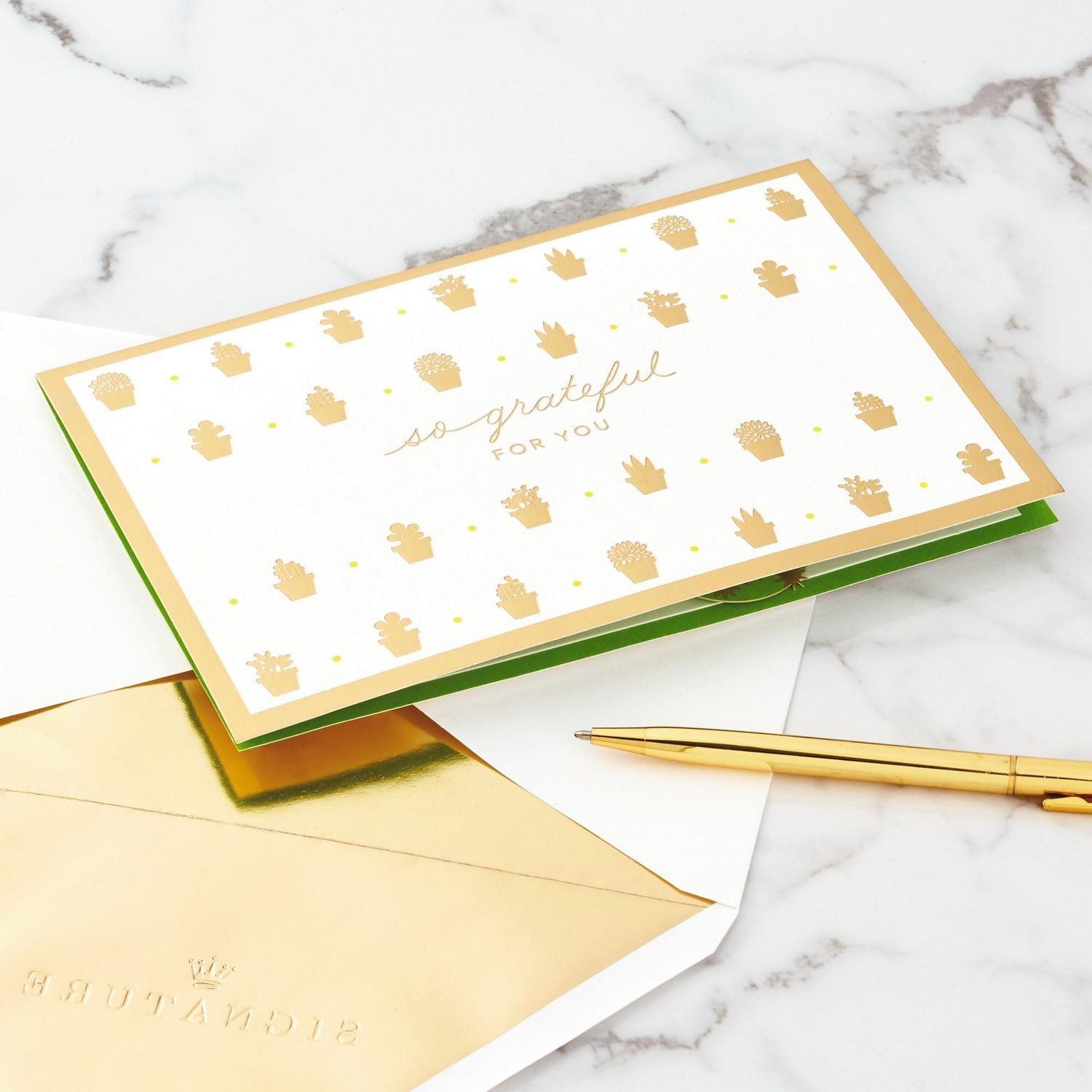 Carte Signature de remerciement en relief – Paper Wonder de Hallmark – Plante succulente (Carte pour la Journée des infirmiers/infirmières, et pour les professeurs)