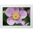 thumbnail image 3 of Erin Berzel 32x23 White Modern Wood Framed Wall Art Titled - Anemone I, 3 of 5
