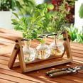 thumbnail image 2 of Better Homes & Gardens 11.3 in L x 4.3 in W x 5.5 in H Glass and Wood Propagation Vase Station Set, 2 of 11