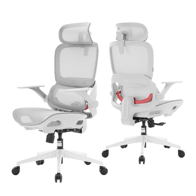 SIHOO B100 Office Chair, Comfy Ergonomic Office Chair, High Back Computer Chair, Flip-up Armrests & Swivel Desk Chair for Long Hours, Light Grey