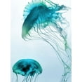 thumbnail image 2 of Prime, Marcus 15x18 White Modern Wood Framed Museum Art Print Titled - Jelly Fish Friends, 2 of 4