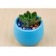 thumbnail image 2 of Mini maceta redonda de plástico Cola para flores de escritorio con orificio de drenaje Azul, 2 of 8