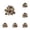 Random Style, variant on Bird Chew Toy Natural Wood Chip Parrot Teeth Blocks Parrot Foraging Toy Stress Relief Cage Accessory for Parakeet Cockatiel Conure Small Medium Pet Birds 6 Pcs Random Style