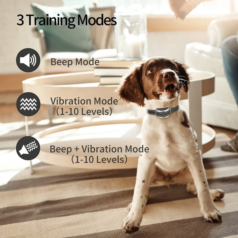Walmart Rechargeable Cat & Dog Training Collar, No Shock, 1600Ft Remote  Control, IPX7 Waterproof, For 2 Dogs