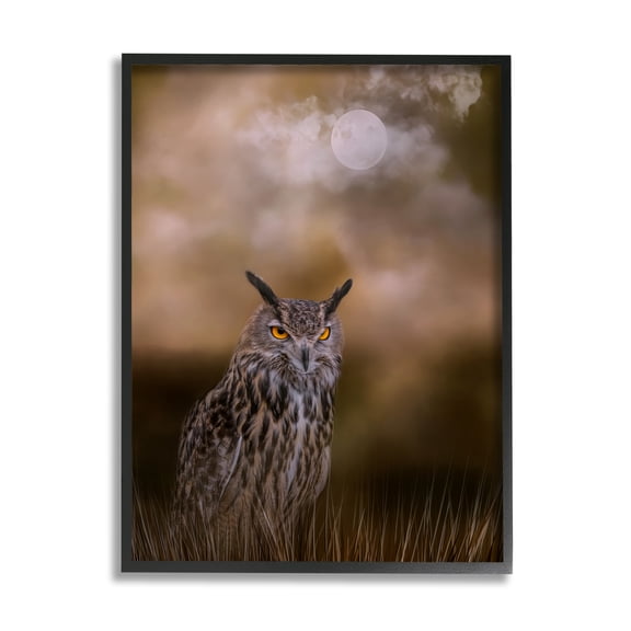 Stupell Nighttime Owl Moonlit Cloudy Sky Animals & Insects Photography Black Framed Art Print Wall Art