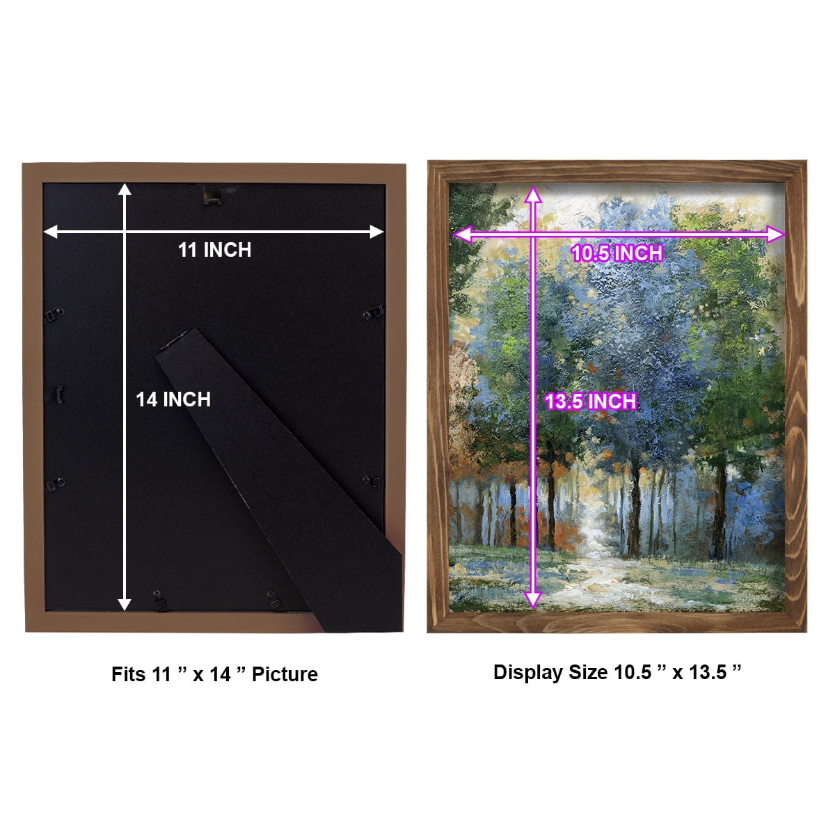 Afternoon Light -Framed Print w/glass-Walnut