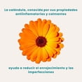 thumbnail image 3 of Solución C Dreamy Sin piel grasa Hydrodermoabrasión 1lt, 3 of 7