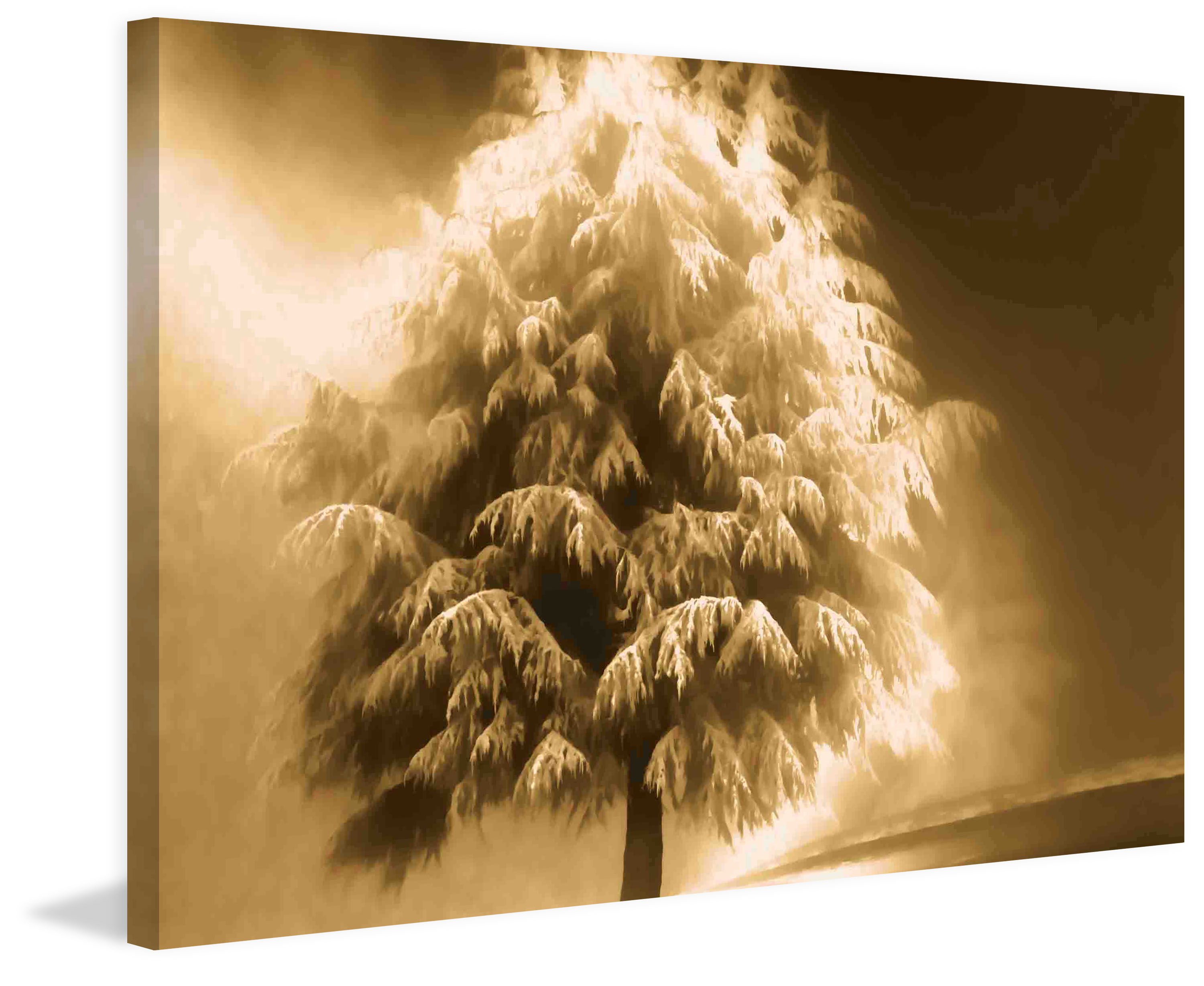 "Enlightened Tree" Painting Print on Wrapped Canvas