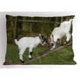 thumbnail image 1 of Animal Pillow Sham Two Cute Little Baby Goats on a Bench Fighting with Their Horns Picture Image, Decorative Standard King Size Printed Pillowcase, 36 X 20 Inches, White and Green, by Ambesonne, 1 of 2