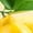 Yellow Type A, variant on Baby Unisex Fruit Lemon Design Rompers Newborn Baby Bodysuits Infant Jumpsuits Kids Cotton Graphic One-Piece Outfits