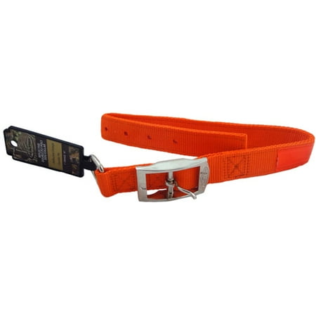 Team Realtree 18" Dog Collar, Orange