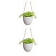 thumbnail image 2 of Naiovety Jarrón de plantas único con tecnología de impermeabilización Hermosa forma de plantas Maceta Cultivable en agua Se puede colocar Type1 NO1, 2 of 6