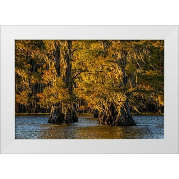Jones, Adam 14x11 White Modern Wood Framed Museum Art Print Titled - Bald cypress trees in autumn colors at sunset Caddo Lake-Uncertain-Texas