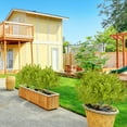 thumbnail image 3 of Rboles Topiarios Artificiales De Cedro, Plantas Artificiales Para Exterior, Arbustos Con Estacas, Dise O Duradero Y Resistente a Los Rayos Uv, Decoraci N Elegante, Para Porches, Decoraci N, 3 of 7