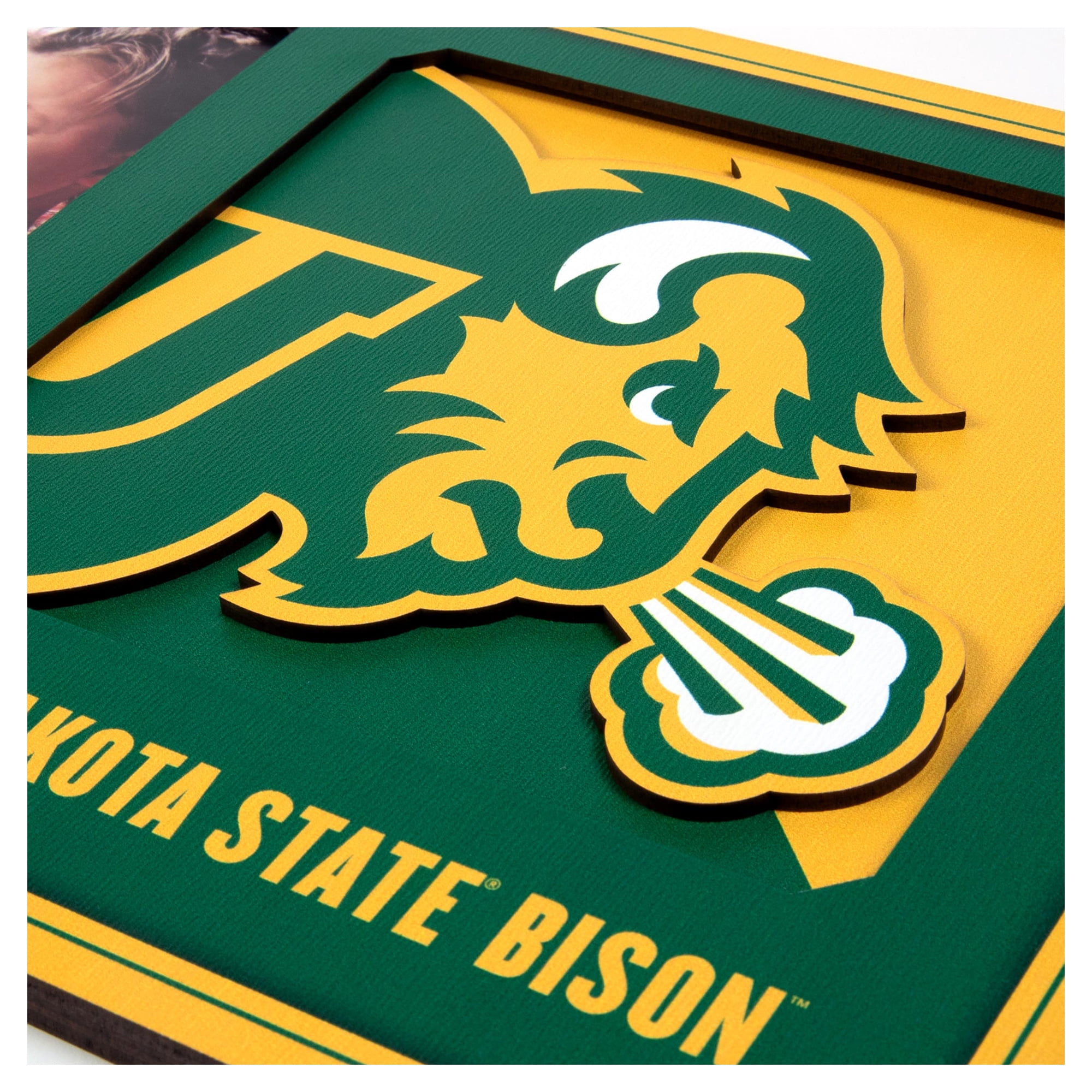 IDNA NDSU Bison 3D Logo Series Picture Frame