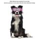 thumbnail image 3 of Gafas Para Perros, Gafas De Sol Portátiles Para Mascotas A Prueba De Golpes, Protección Ocular UV, Marco Suave Para Uso En Exteriores, 3 of 7
