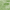 Light Green/White-CB24, variant on Aonewoe Outdoor Rug 6x9 Waterproof Reversible Plastic Straw Camping Rugs for Outside RV, Indoor Outdoor Area Rugs for Patio,Deck,Porch,Balcony, Light Green & White