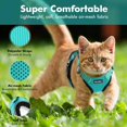 thumbnail image 2 of Foulard pour Chat avec Laisse, Foulard et Laisse pour Chat, Foulard Ajustable pour Chat, Foulard pour Chat et B, 2 of 5