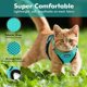 thumbnail image 2 of Bufanda para gato con correa, bufanda y correa para gato, bufanda ajustable para gato, bufanda para gato y chaleco transpirable para collar, adecuada para gatos europeos, artículos para mascotas, 2 of 5