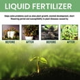 thumbnail image 4 of All Purpose Fertilizer for Indoor Plants, Potted Outdoor Plants & Flowers - 3x1.28oz Super Bloom Booster Fertilizer - Liquid Fertilizer for Seedlings - Plant Food for Houseplants, 4 of 9