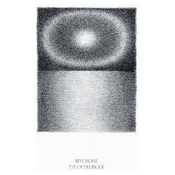 Bryozone - Eye Of Delirious - Music & Performance - Vinyl