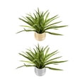 thumbnail image 1 of planta artificial decorativa con maceta dorada / plateada de cerámica, 1 of 6