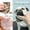 B, variant on Pet Care Dog Ear Cleaner Finger Wipes for Gentle Dirt Removal and Wax Dissolution - Easy to Use Finger Wipes for Dogs and Cats