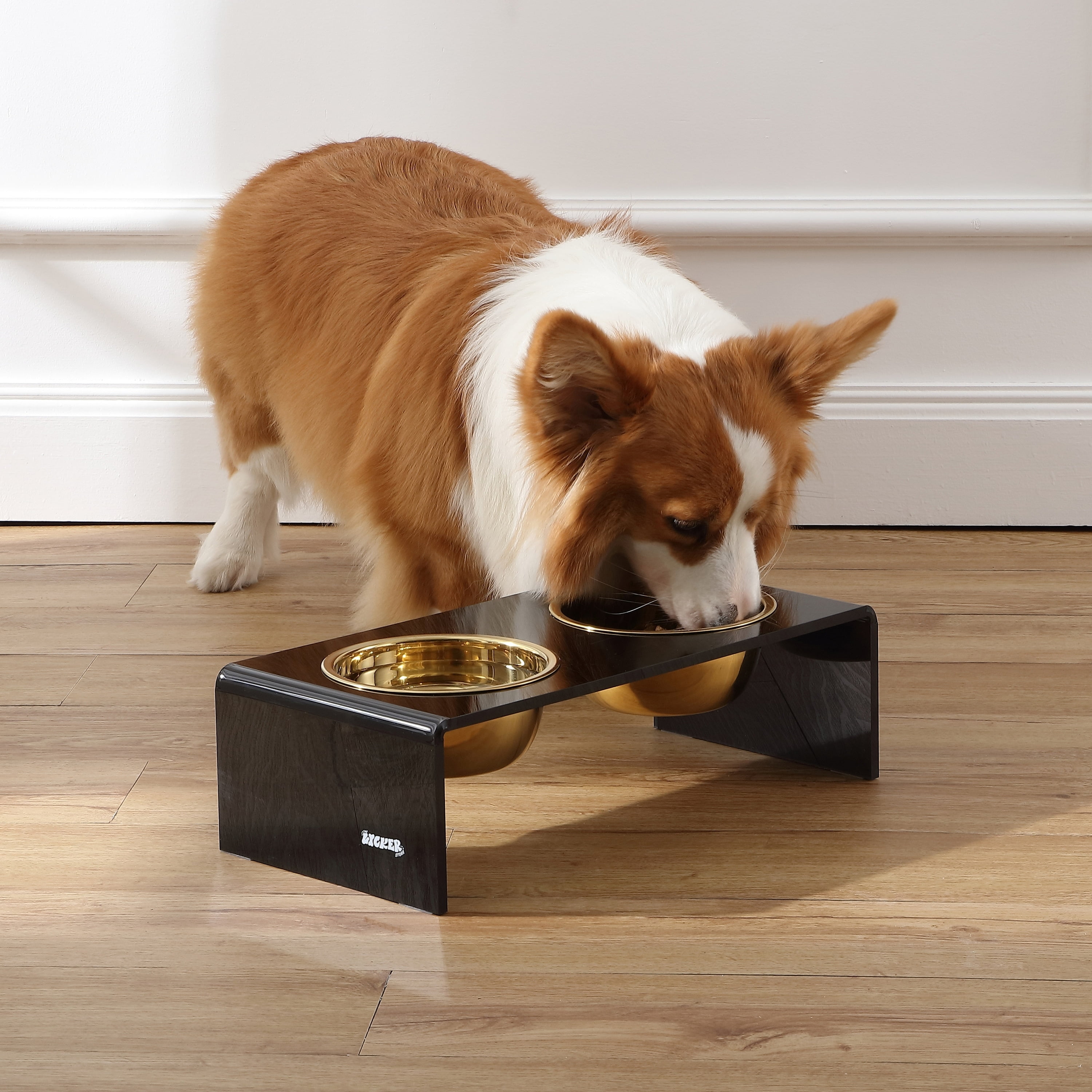 THE LICKER STORE Keaton 5" Small/Medium Modern Acrylic Rectangular Elevated Pet Feeder with 20oz 2-Stainless Steel Bowls, Black/Gold, DBL2000B