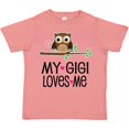 thumbnail image 3 of Inktastic My Gigi Loves Me Girl Owl Girls Toddler T-Shirt, 3 of 5