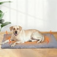 thumbnail image 1 of 2026 Upgraded Self Warming Cat Bed Thermal Mat Extra Soft Heating Pad Thick Washable Blanket For Indoor Outdoor Small Medium Cats, 1 of 3