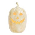 thumbnail image 2 of Light Up Pumpkin Resin Jack O' Lantern with Flameless Candle, Fall Decor, Halloween Decorations, Outdoor Indoor Autumn Decoration for Table Centerpieces Porch Room Front Door Mantel, 2 of 8