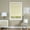 White, variant on Honeycomb Cellular White Pleated Cordless Shade 31x64
