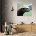 thumbnail image 3 of Dana Underdahl 34x28 Gallery Wrapped Canvas Wall Art Titled - Badger I, 3 of 4
