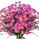 thumbnail image 1 of Flores artificiales, flores falsas, flores artificiales, set de regalo para mujer, 8 paquetes de flores artificiales, margaritas y crisantemos para decoración del hogar, hierba artificial., 1 of 2