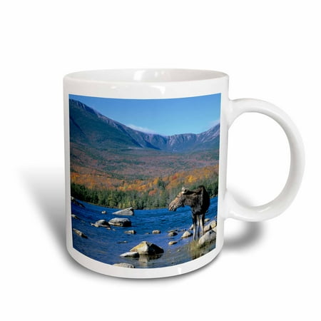 3dRose Cow moose wildlife, Mt. Katahdin, Baxter SP, Maine - US20 HGA0006 - Howie Garber, Ceramic Mug, 15-ounce