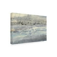 thumbnail image 2 of Trademark Fine Art 'Silver Horizon Gray' Canvas Art by Albena Hristova, 2 of 3