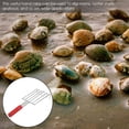thumbnail image 5 of KAKOWELY Rake Stainless Steel Fishermen Beach Activities 1Pack 12.6x4.1x2In, 5 of 8
