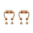 thumbnail image 1 of Zshan Magnetic Septum Ring Horseshoe Fake Septum Rings Clip Non Pierced Nose Hoop, 1 of 5