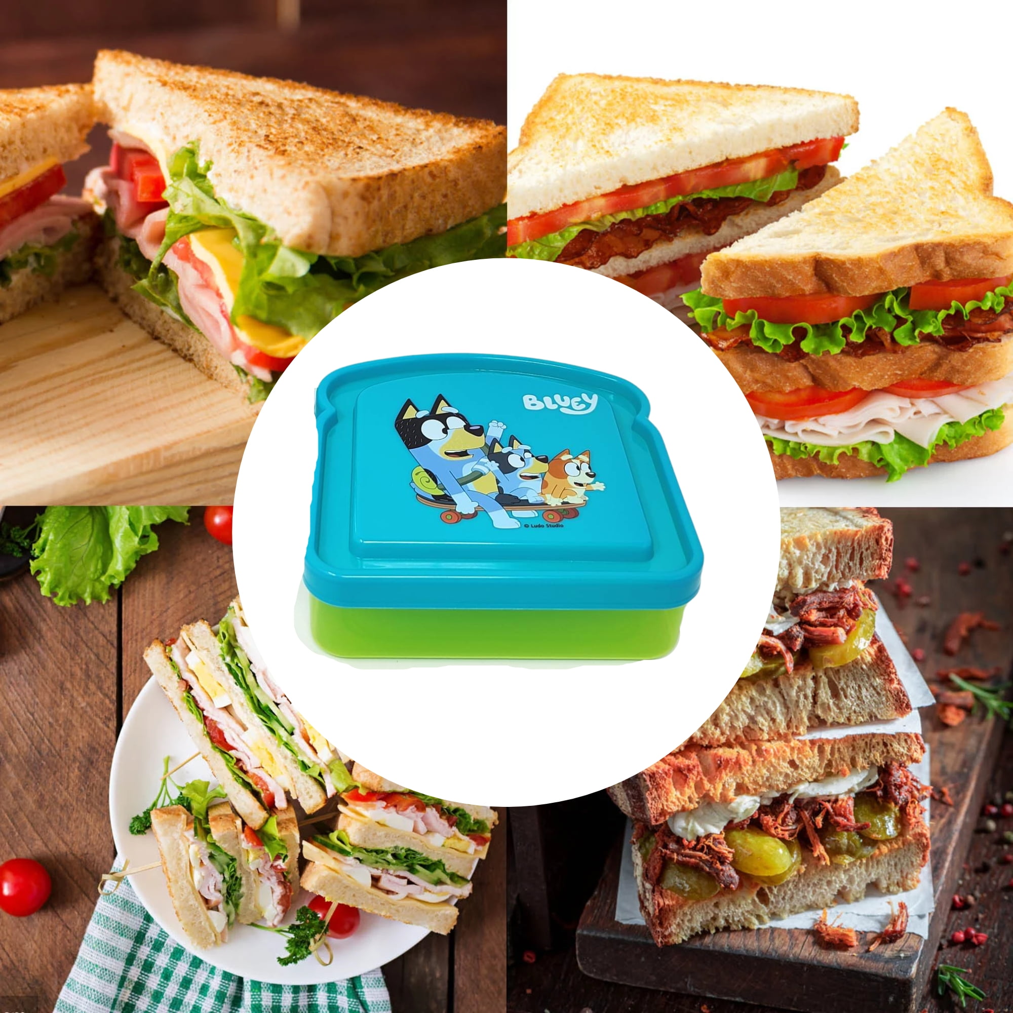 Greenbrier International, Inc. Bluey Lunch Box 2 Piece Set Kit - Includes 1  Reusable Sandwich Contai…See more Greenbrier International, Inc. Bluey