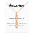 thumbnail image 2 of Stainless Steel Rose Gold Plated Vertical Zodiac, Astrology, Horoscope, Constellation Pendant Mens Womens Necklace, Free Micro Fiber Cloth, Giorgio Bergamo Aquarius, 2 of 6