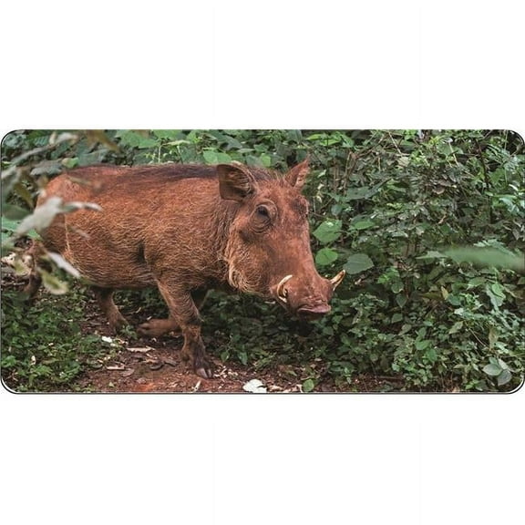 212 Main LPO7502 6 x 12 in. Wild Boar in the Wild Photo License Plate