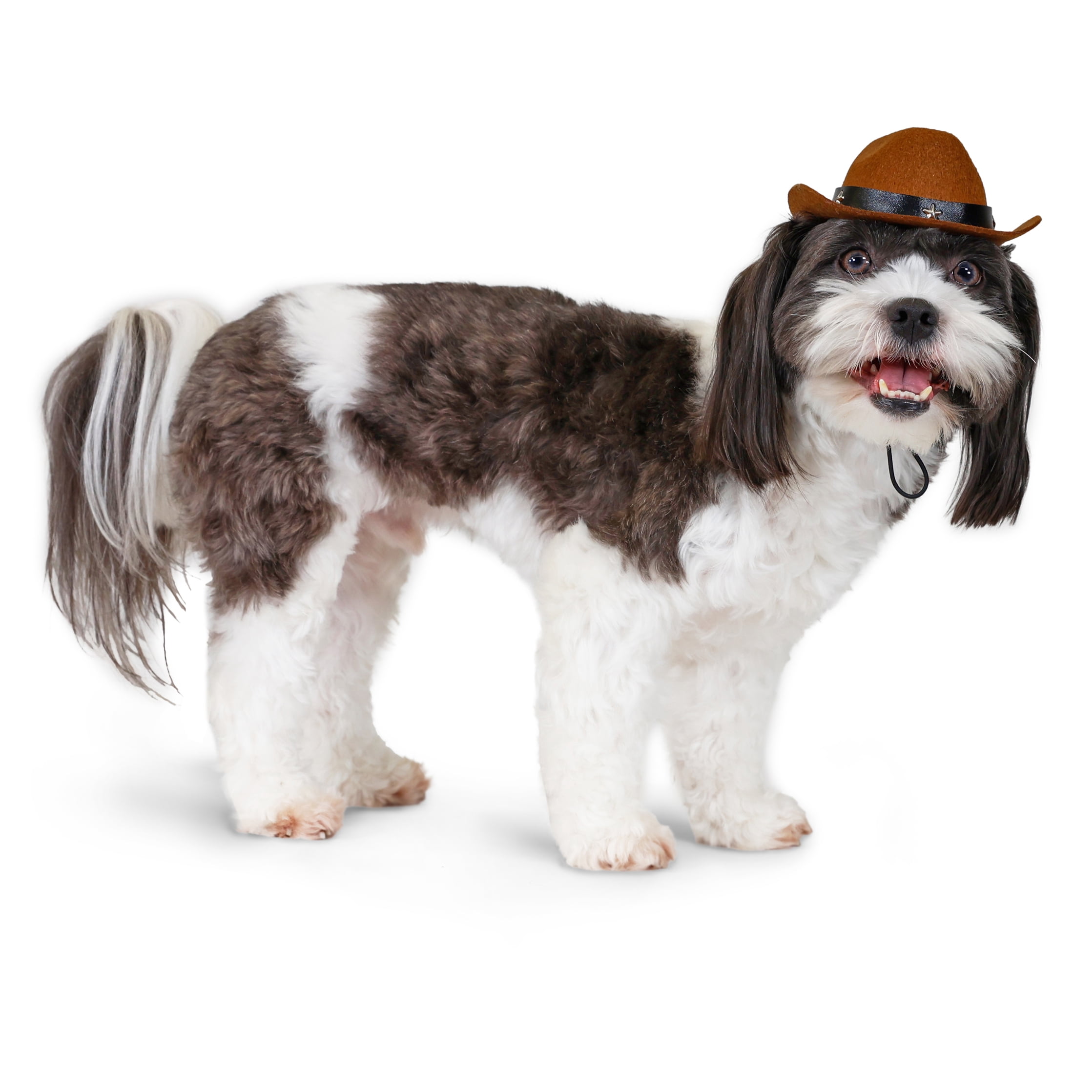 Vibrant Life Halloween Cowboy Hat Costume for Dogs & Cats, Brown, Extra Small/Small