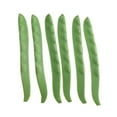 thumbnail image 2 of Modelos de Simulación de Vegetal Frijoles Carne Juguete para Niños de Lentejas Gloria Vegetal artificial, 2 of 7