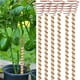 thumbnail image 3 of 6 antenas eléctricas de cultivo de 12 pulgadas, estacas de cobre, estacas de alambre de cobre para plantas, fácil instalación, accesorios para cultivo de plantas en interiores y exteriores., 3 of 8